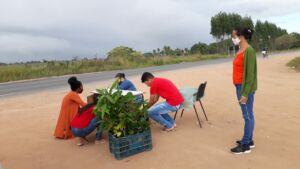 Escola Municipal Paulo Freire no Extremo Sul da Bahia comemora um ano do Projeto Plantando o Amanhã