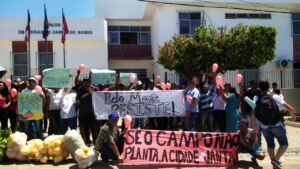 Leia mais sobre o artigo Famílias Sem Terra resistem a despejo no Nordeste da Bahia