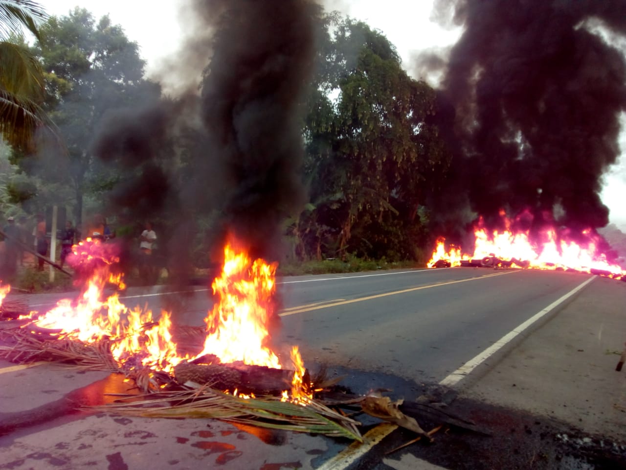 No momento você está vendo MST protesta contra descaso do governo que vem causando mortes na BR 101.