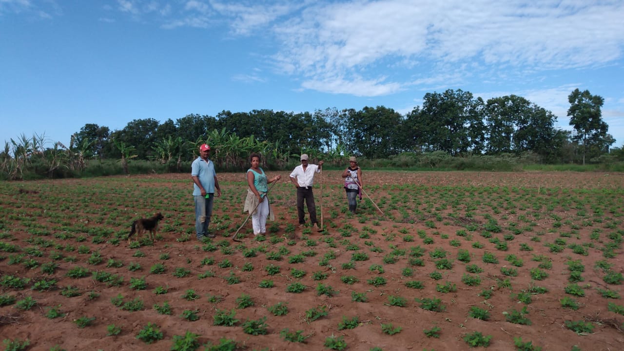 No momento você está vendo Em tempo de pandemia do Coronavírus (Covid-19), a agricultura familiar enfrenta o desafio de garantir a continuidade da produção.