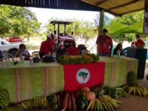 Leia mais sobre o artigo Famílias Sem Terra do Extremo Sul da Bahia celebram entrega de trator