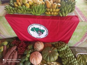 São João da Reforma Agrária no Extremo Sul da Bahia 
