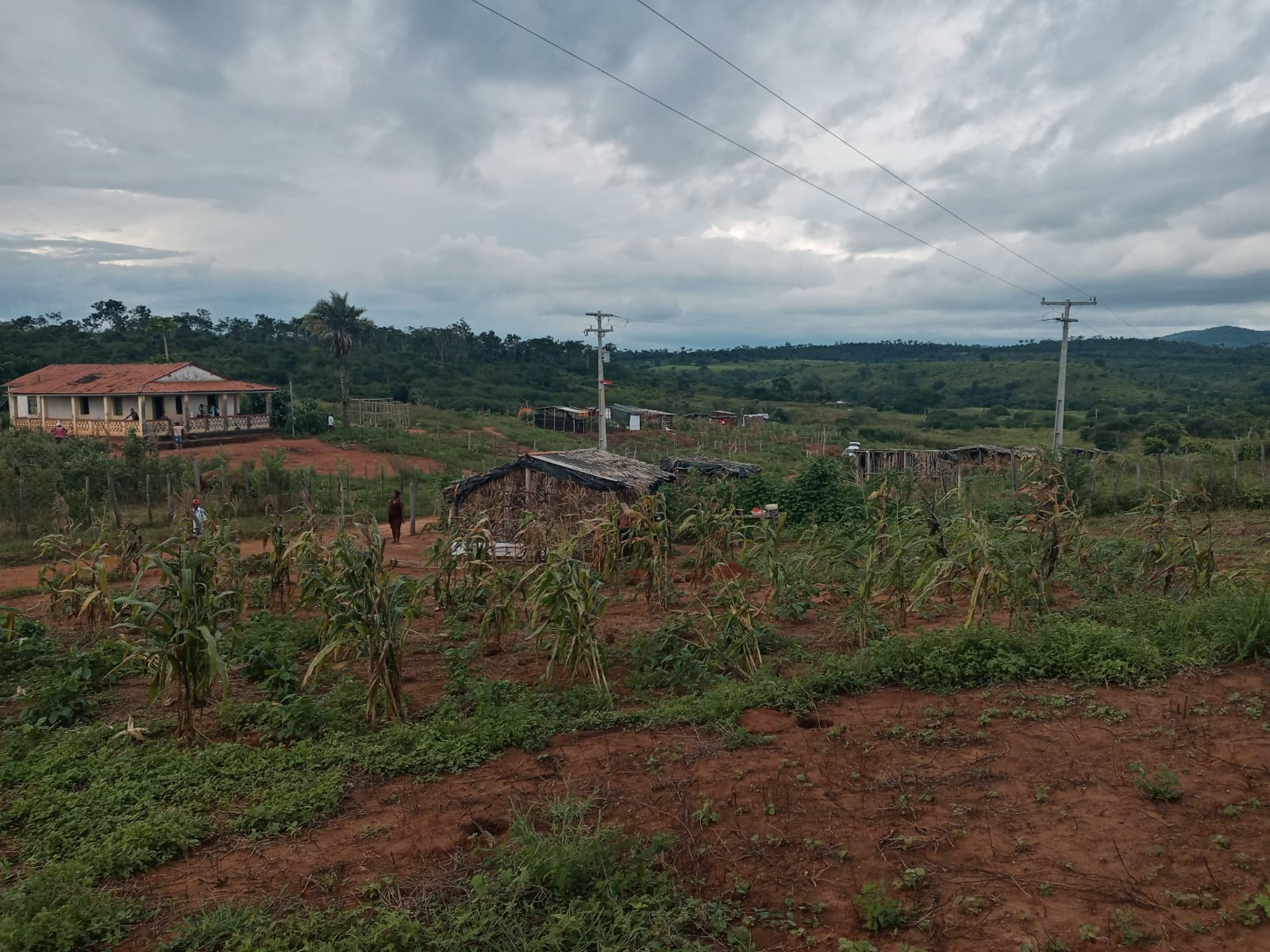 No momento você está vendo Famílias Sem Terra Produzem alimentos Agroecológicos em Ruy Barbosa/BA