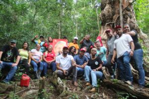 Leia mais sobre o artigo Amigos do MST visitam a árvore de Pau Brasil de 608 anos no extremo sul da Bahia