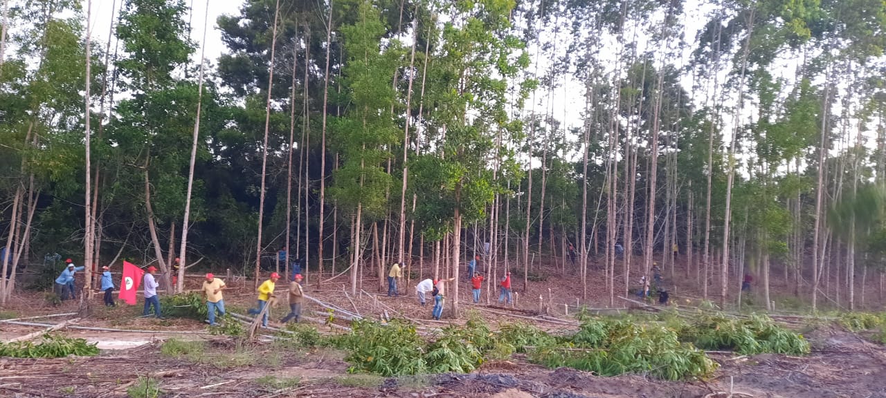 Famílias Sem Terra na Bahia ocuparam 4 latifúndios nesta madrugada